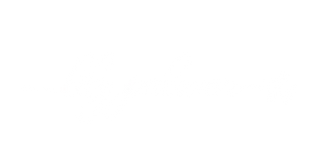 The Lily Palmer Flower Co. 