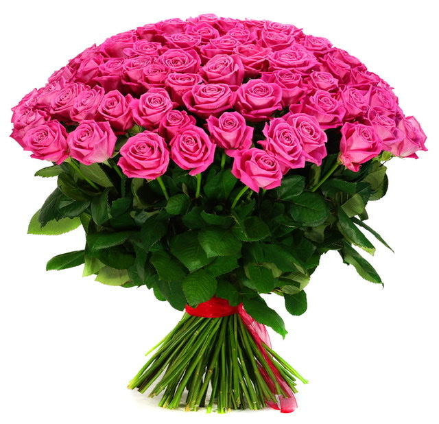 101 Hot Pink Roses