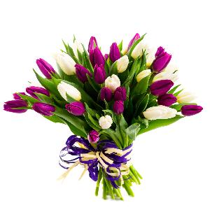 Purple Tulip Bouquet