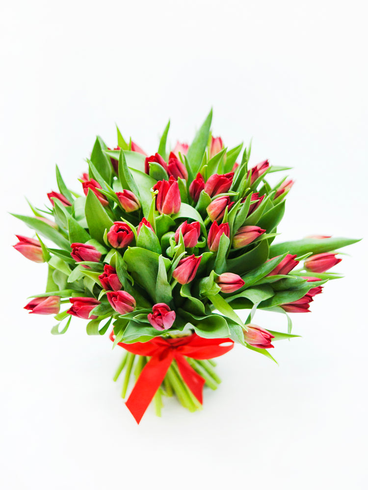 Lily Palmer Red Tulips (2 Dozen)